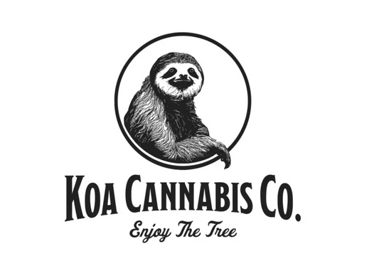 Regular Pre-rolls vs. Live Resin Infused Pre-rolls: What’s the difference?