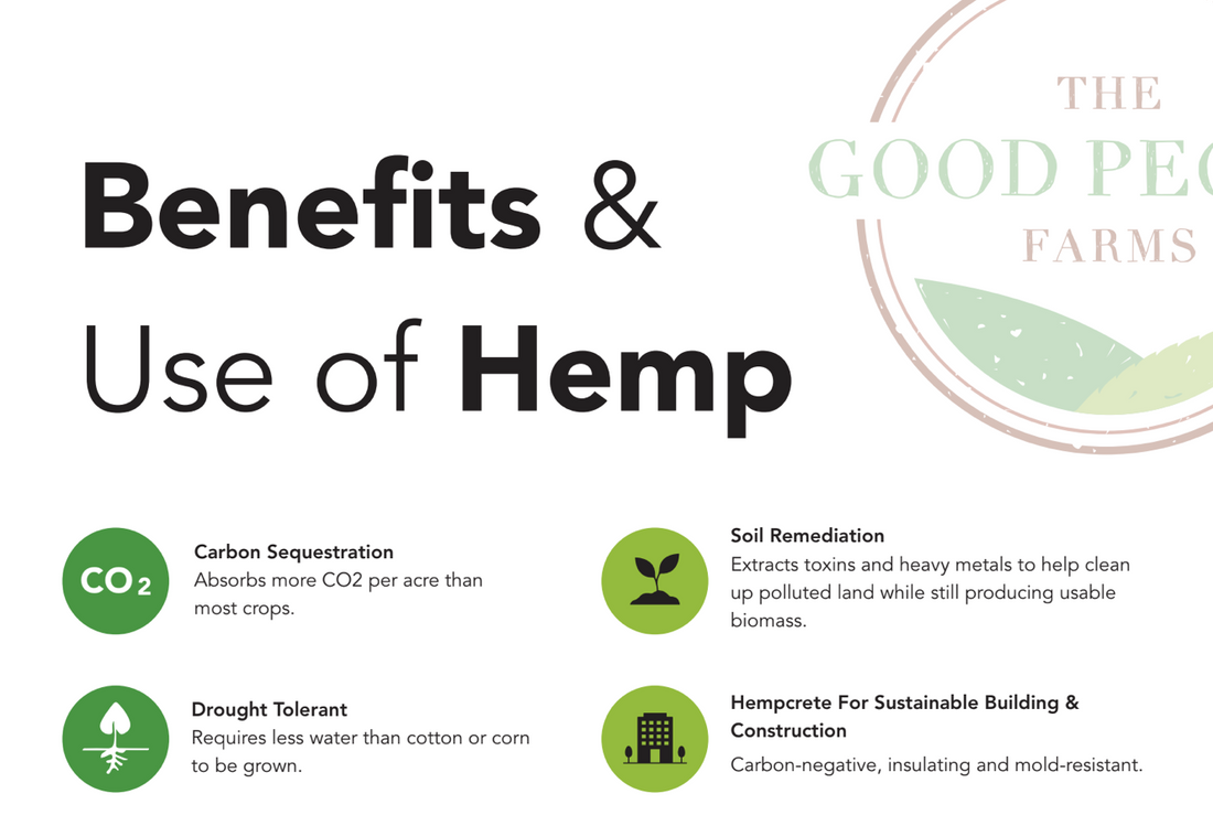 Benefits and Uses of Hemp