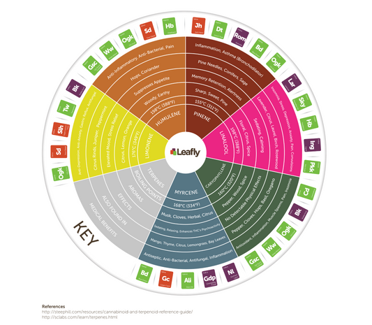 Terpenes 101: The Aromas Behind Cannabis (and Many Other Plants)