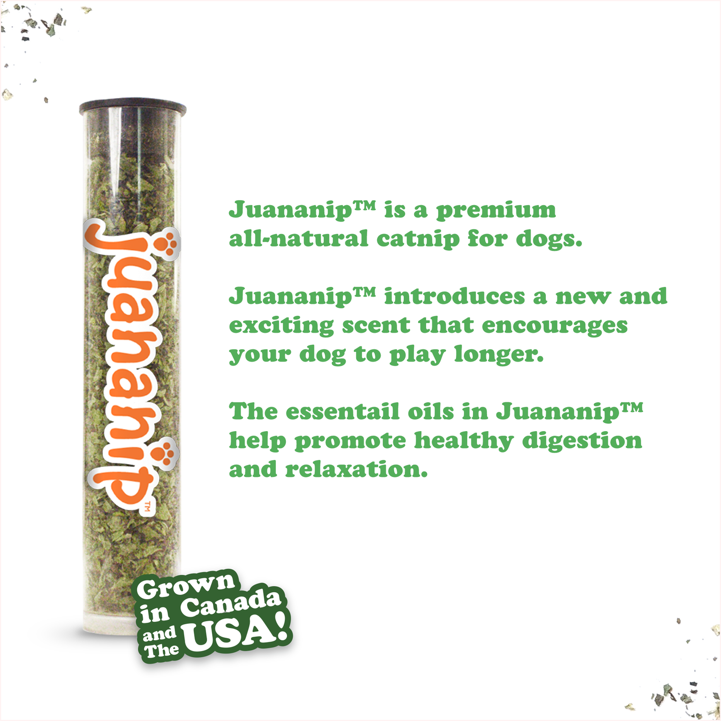 Doggijuana | Get the Munchies! | Cookie Refillable Dog Toy