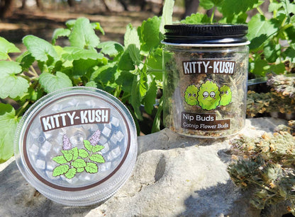 Nip Buds | Catnip Flower Buds with Grinder