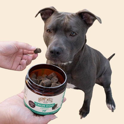 Hemp Well | Calm Dog Soft Chews | 60 Count