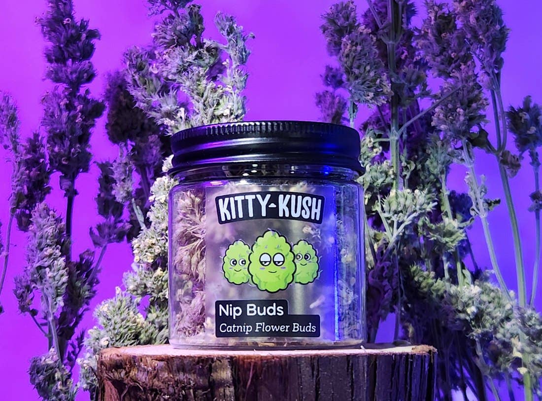 Nip Buds | Catnip Flower Buds with Grinder