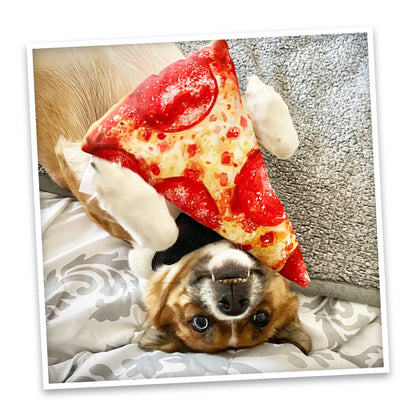 Doggijuana | Get the Munchies! | Pizza Refillable Dog Toy
