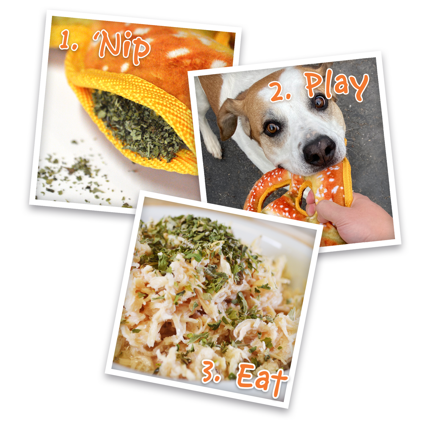 Doggijuana | Juananip™ Refill Bottle