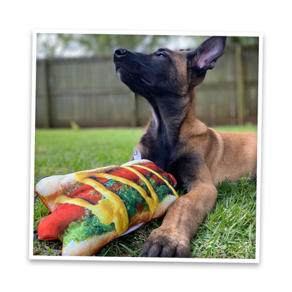 Doggijuana | Get the Munchies! | Hot Dog Refillable Dog Toy