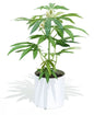 Pot Plant | Potted Faux 16" Teen | White Pot