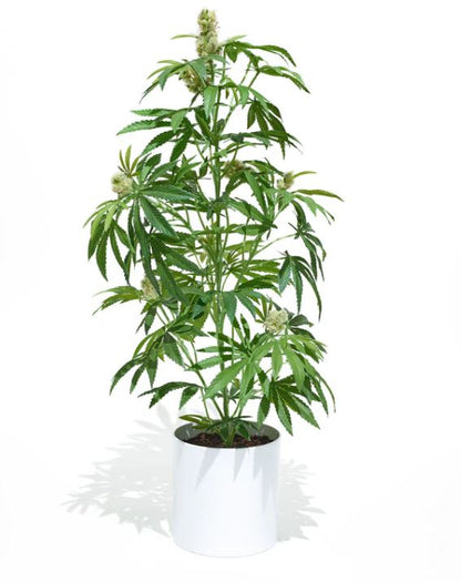 Pot Plant | Potted Faux 36" Mother | White Pot