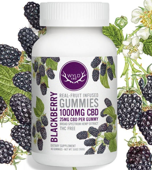 Blackberry CBD Gummies | 1000mg Total | WYLD CBD