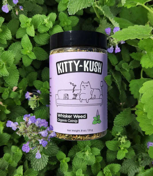 Kitty Kush Organic Catnip