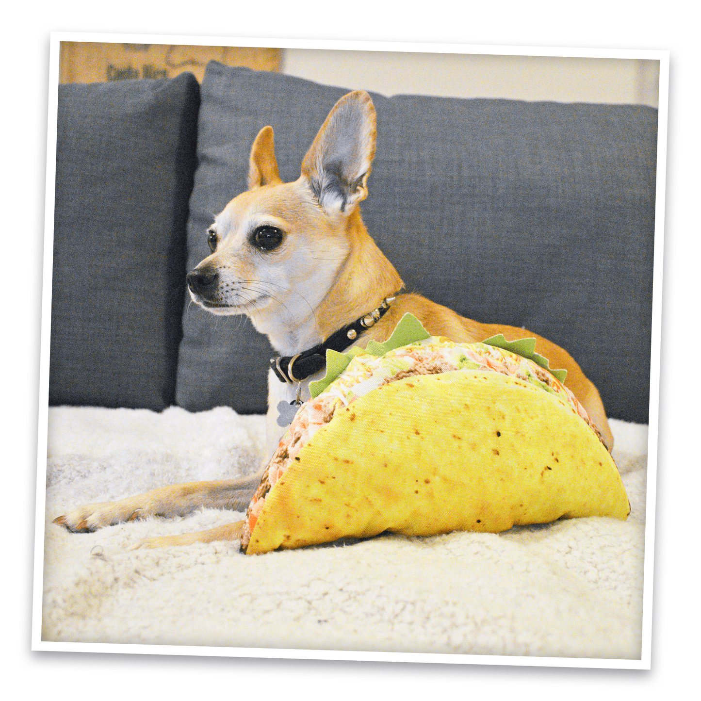 Doggijuana | Get the Munchies! |  Taco Refillable Dog Toy