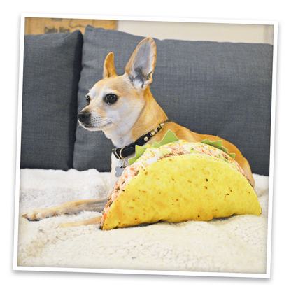 Doggijuana | Get the Munchies! |  Taco Refillable Dog Toy
