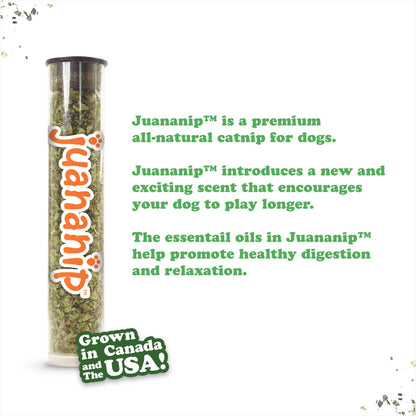 Doggijuana | Get the Munchies! | Pizza Refillable Dog Toy